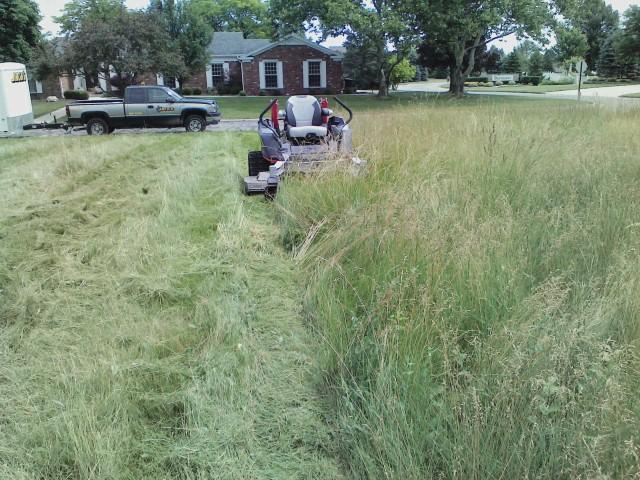 Lawn Mowing - Tall Grass